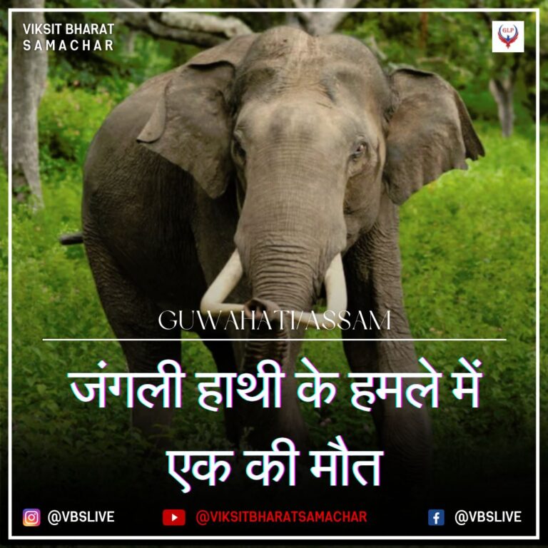 जंगली हाथी के हमले में एक की मौत