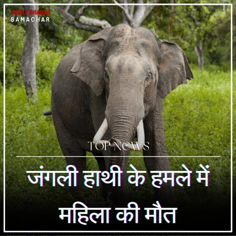 जंगली हाथी के हमले में महिला की मौत