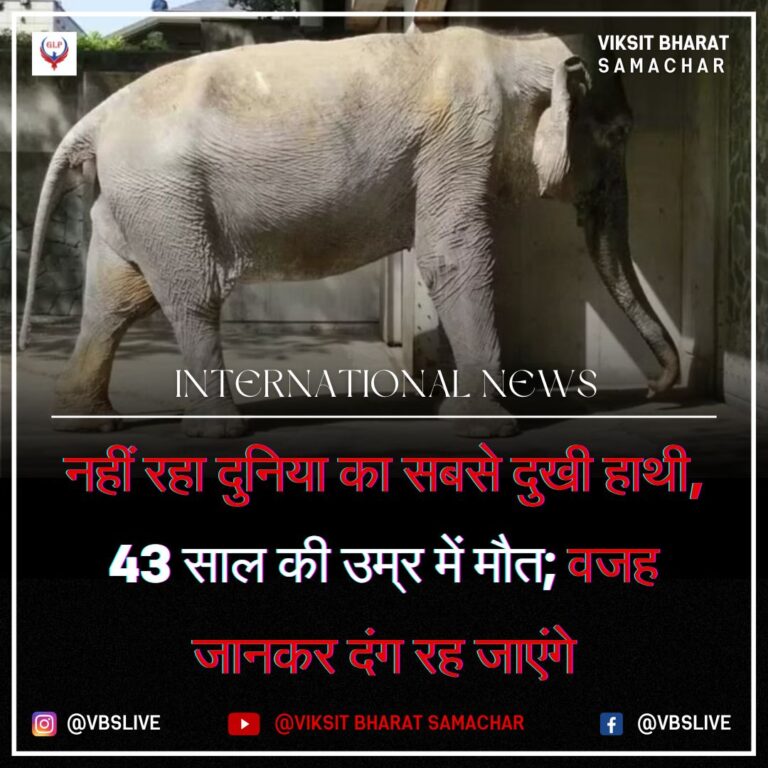 नहीं रहा दुनिया का सबसे दुखी हाथी, 43 साल की उम्र में मौत; वजह जानकर दंग रह जाएंगे