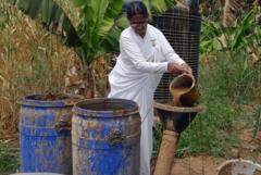 Cow dung’s key role in India’s energy industry